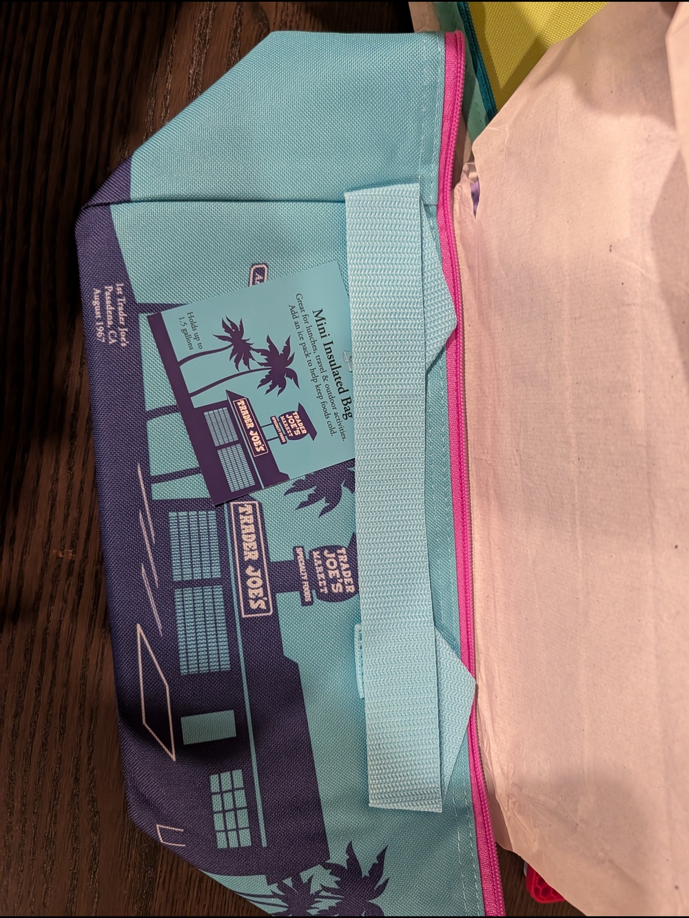 Trader Joe's Mini Insulated Bag in Teal & Purple